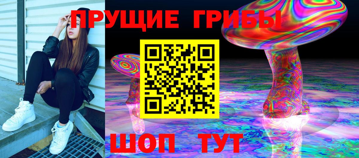 Губкин  Псилоцибиновые грибы Cubensis  Вход с VPN  Галлюциногенные грибы мицелий 