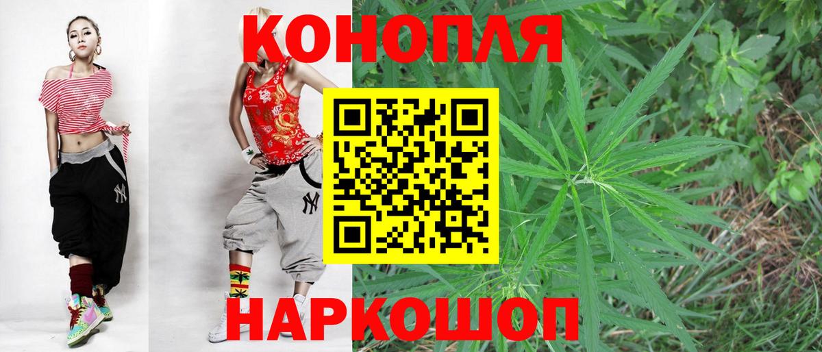 Каннабис планчик  Вход с VPN  Губкин  Конопля сатива 